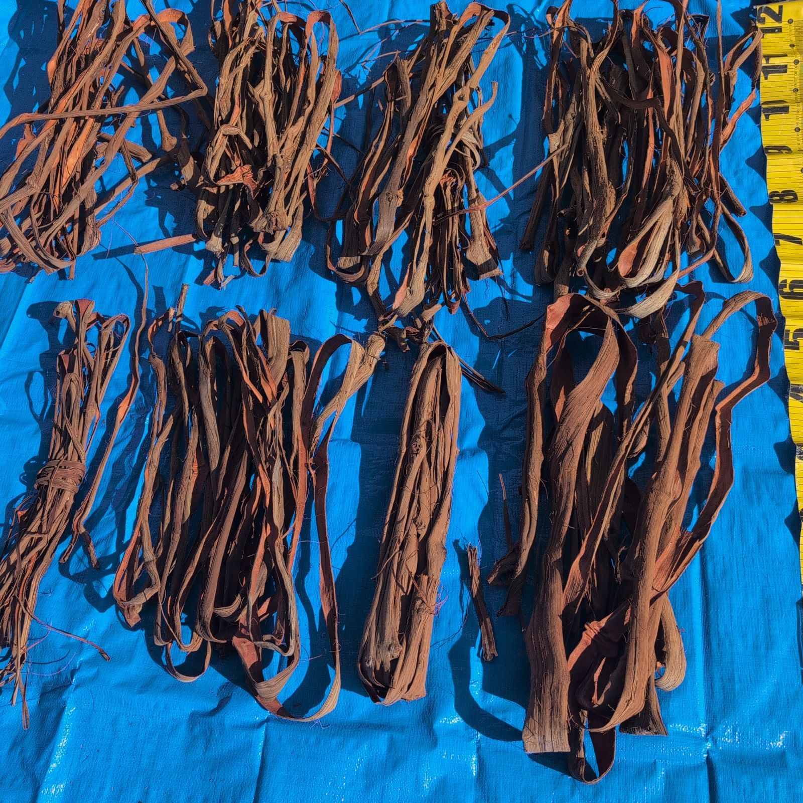 天然山葡萄の蔓1 採集状態で保存2.5キロ