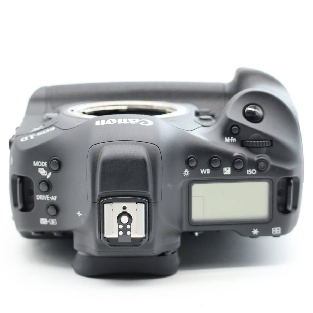 Canon EOS-1D X Mark Ⅱシャッター6,000回以下! Canon EOS-1D X Mark Ⅱシャッター6,000回以下!