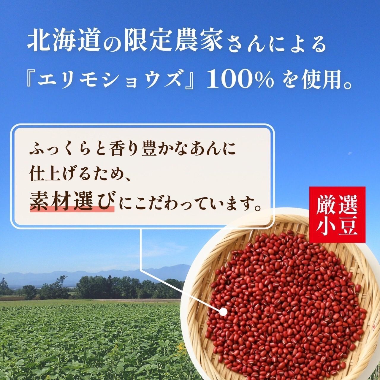 のサムネイル