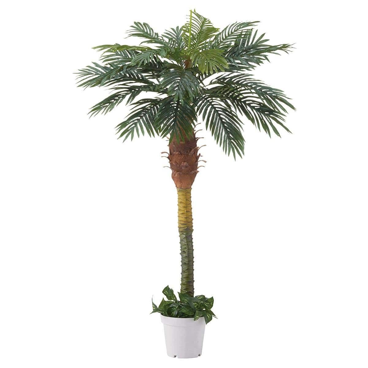 人工観葉植物 ヤマモミジ GREEN コアッド 200 高さ200cm （P18-99338