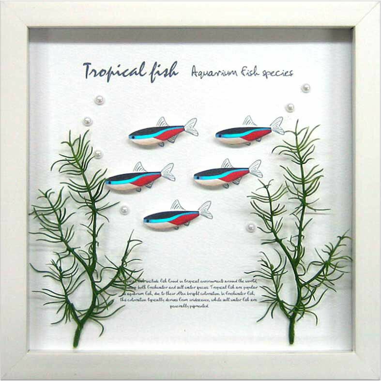アクアフレーム ゆうパケット Aqua Frame Neon Tetra(ネオンテトラ)/インテリア 壁掛け 額入り 額装込 風景画 油絵 ポスター アート アートパネル リビング 玄関 プレゼント モダン アートフレーム おしゃれ 飾る Sサイズ 巣ごもり