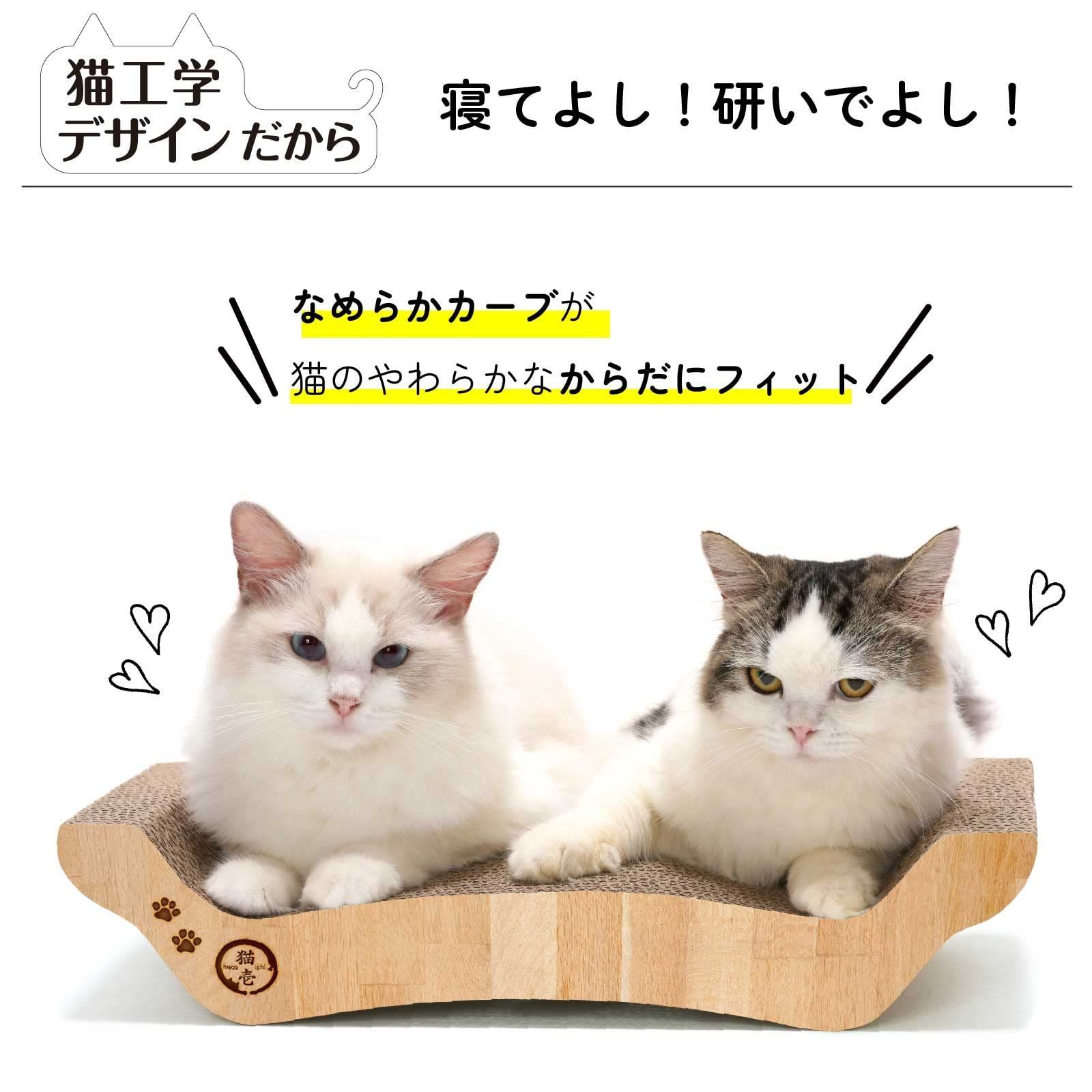 猫壱 バリバリベッド