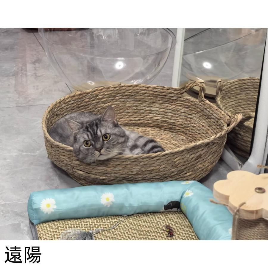 猫ベッド 犬ベッド ラタン かご 藤編み 柳枝編み 小動物用ケージ