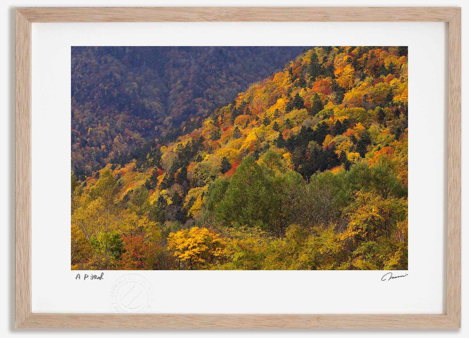 2025年最新】Yahoo!オークション -大雪 絵画の中古品・新品・未使用品