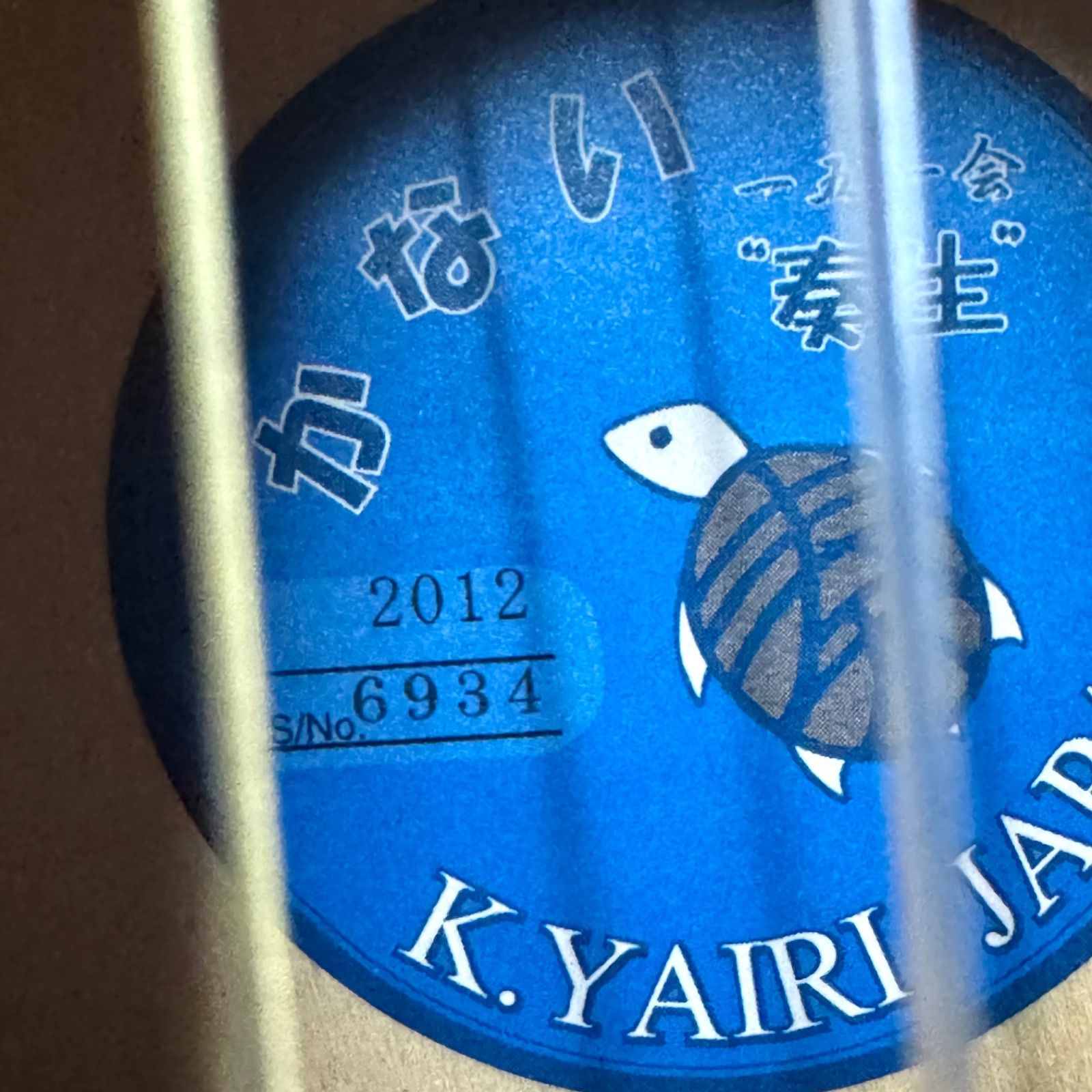 アコースティック楽器 でも弾ける