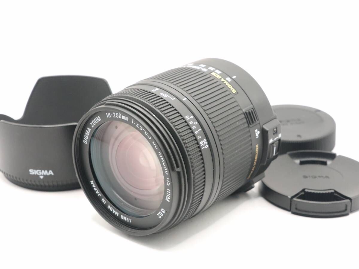 上 シグマ SIGMA 18-250mm F3.5-6.3 DC MACRO OS HSM NIKON ニコン用 I0410＃2296