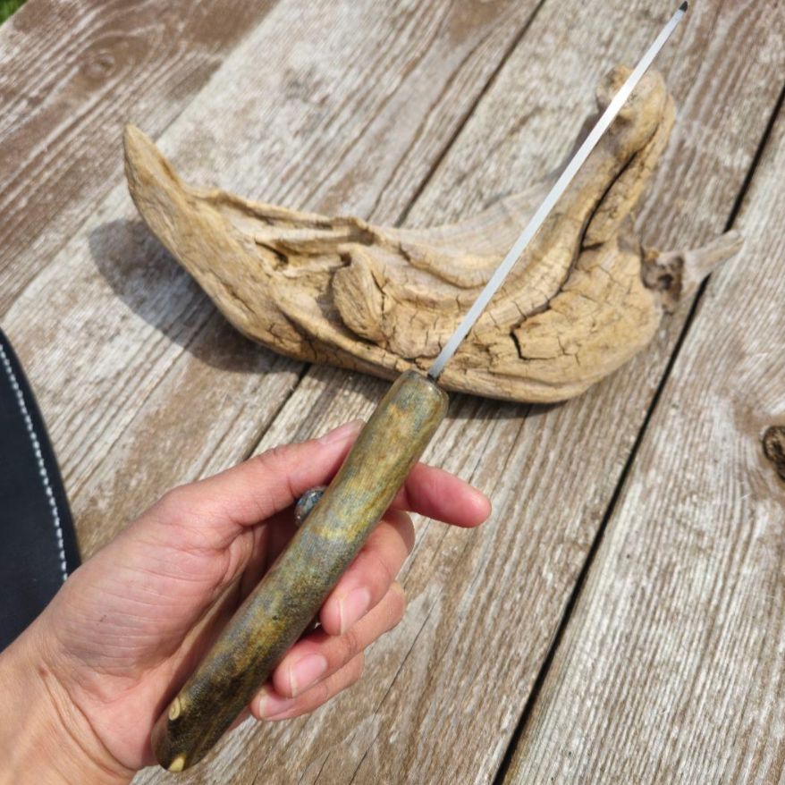 虹彩珊瑚のマキリ