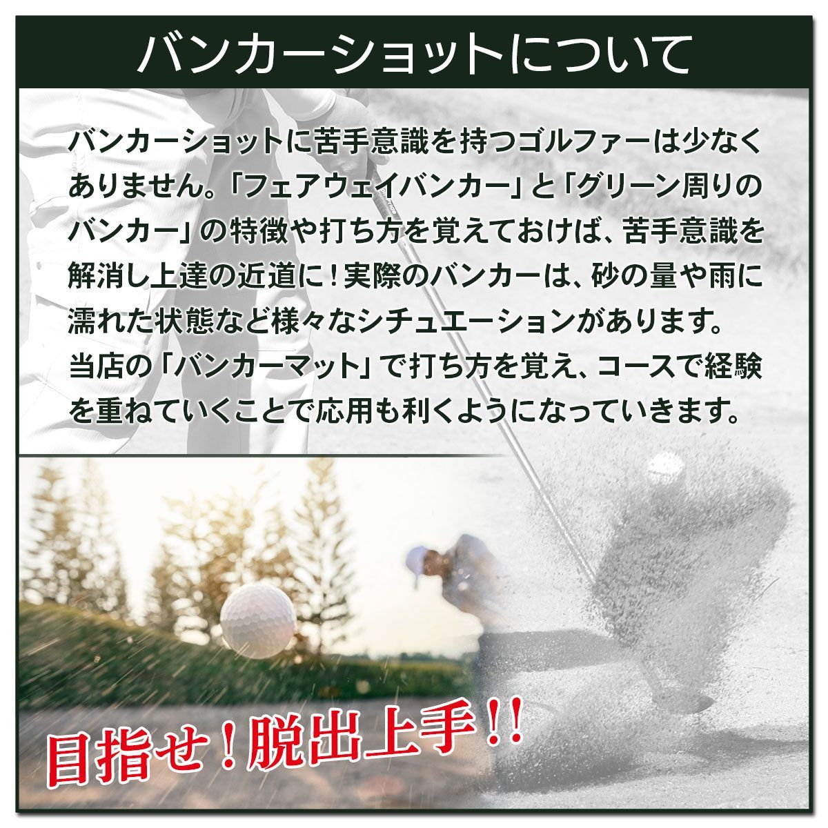 GolfStyle バンカーマット 2WAY ゴルフマット バンカー 練習 マット