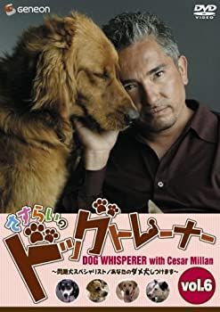 【】さすらいのドッグトレーナー Vol.6~問題犬スペシャリスト/あなたのダメ犬しつけます~ [DVD]