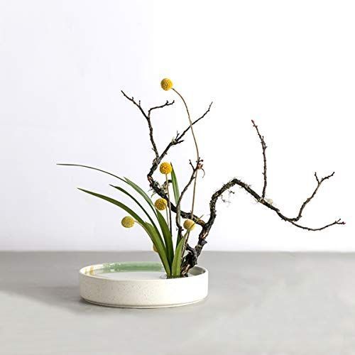 応募券 AIVAR 生花用の花器 花瓶 花器 水盤 フラワーベース - フラワー