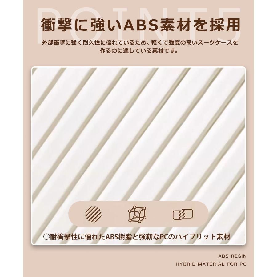 機内持込み