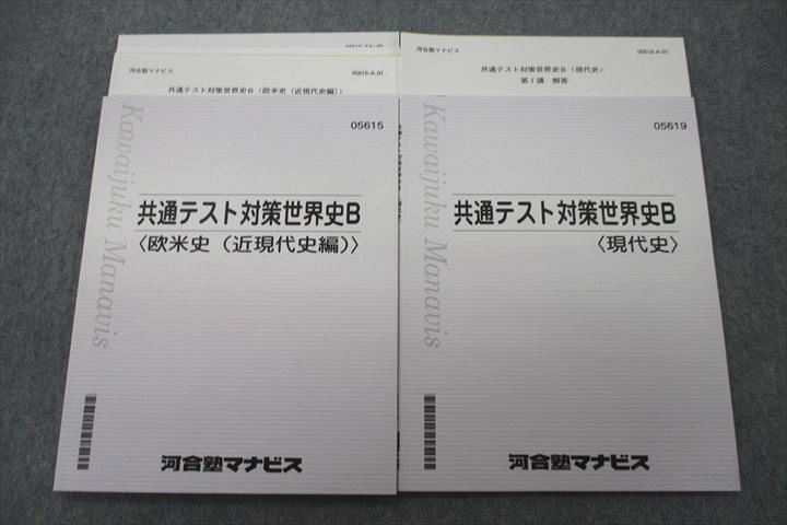 河合塾 マナビス テキスト 私立難関世界史演習 2冊セット