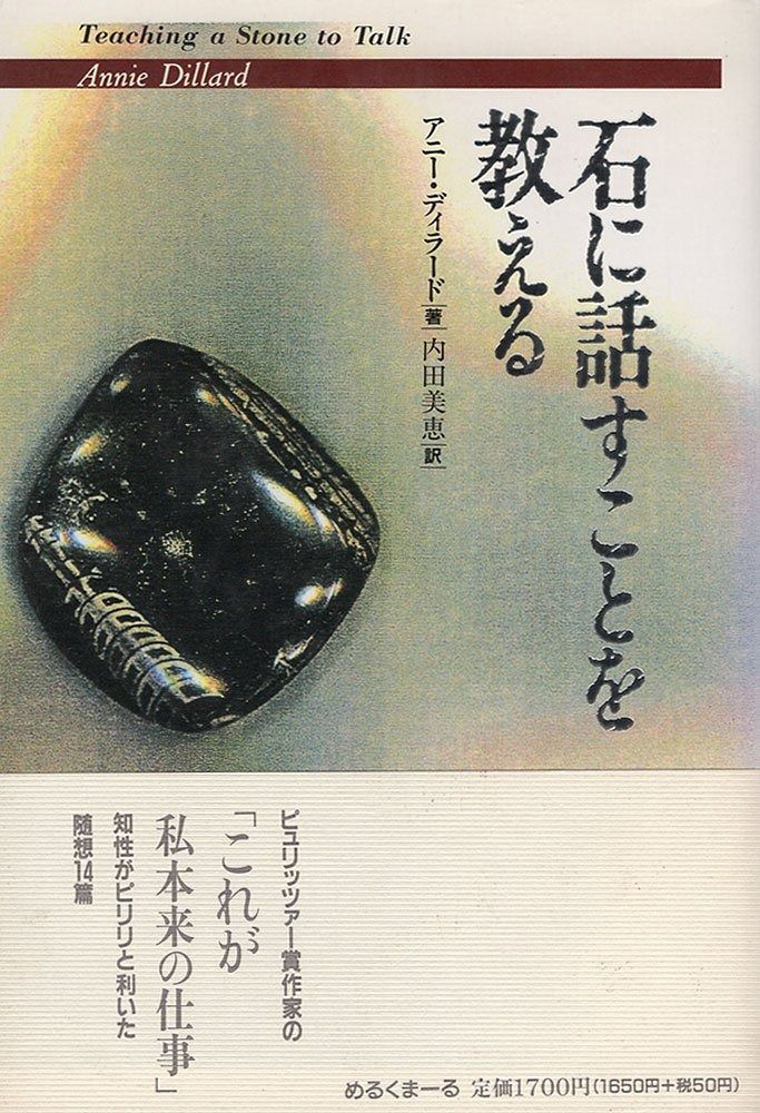 石に話すことを教える