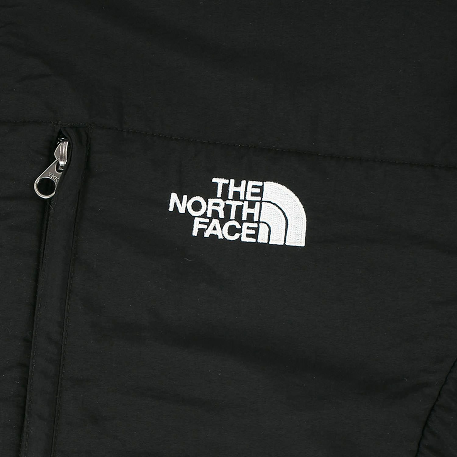 THE NORTH FACE ノースフェイス ジャケット サイズ:L 00s US企画