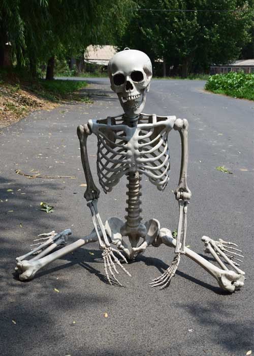 ハロウィン　ガイコツ　人体模型 スケルトン　等身大　約170cm 置物 オブジェ 骸骨 ガイコツ ドクロ スケルトン 全身 標本 等身大