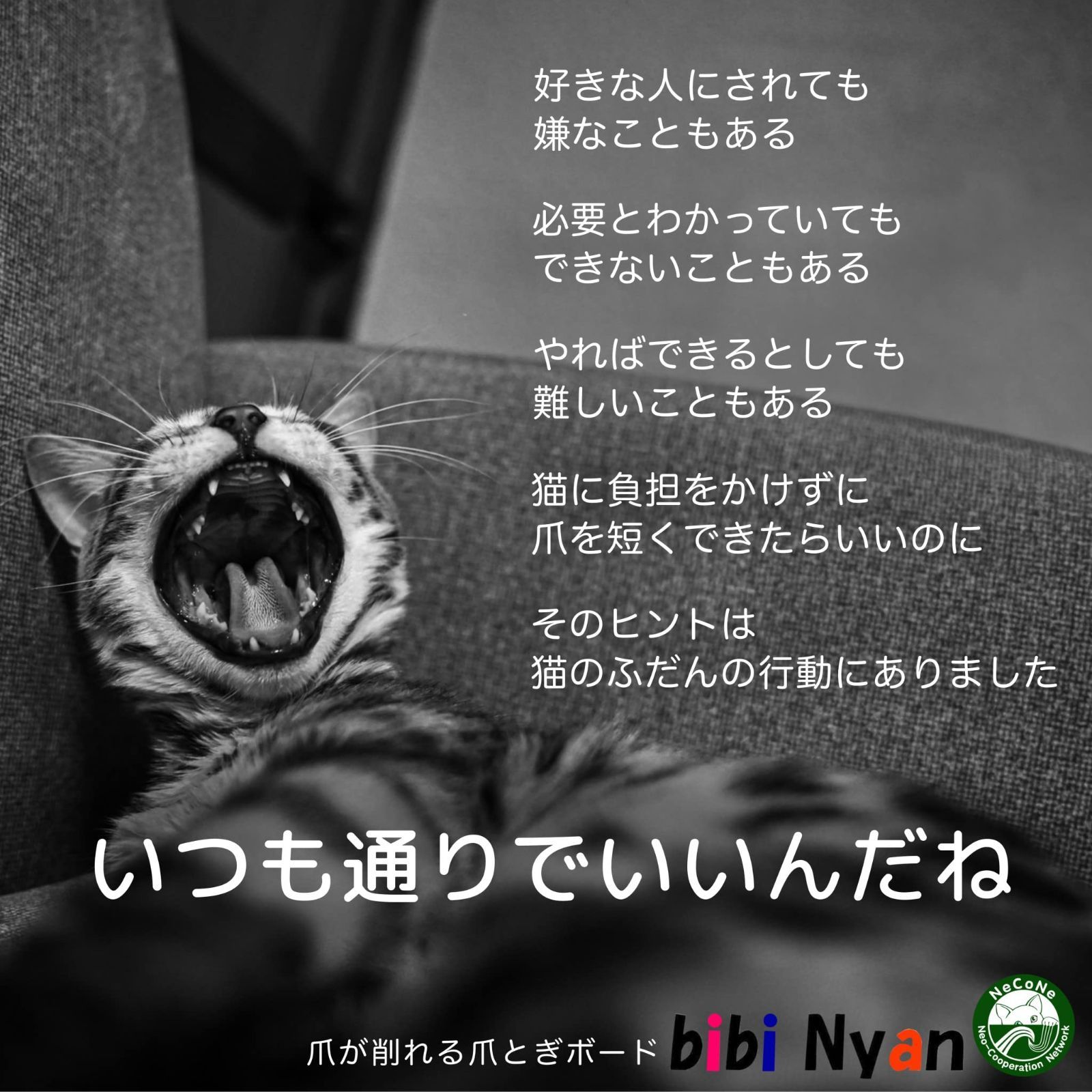 ネコ