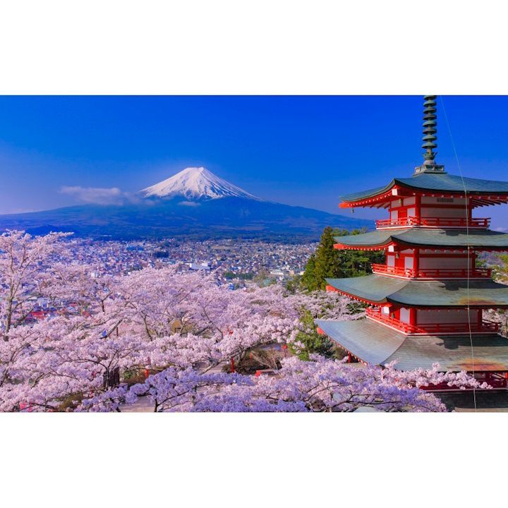 絵画風 壁紙ポスター (はがせるシール式) -地球の撮り方- THE JAPANな絶景、桜富士＆新倉山浅間公園の忠霊塔と桜 富士山 さくら キャラクロ C-ZJP-010W1 (ワイド版 921mm×576mm) ＜日本製＞ ウォール