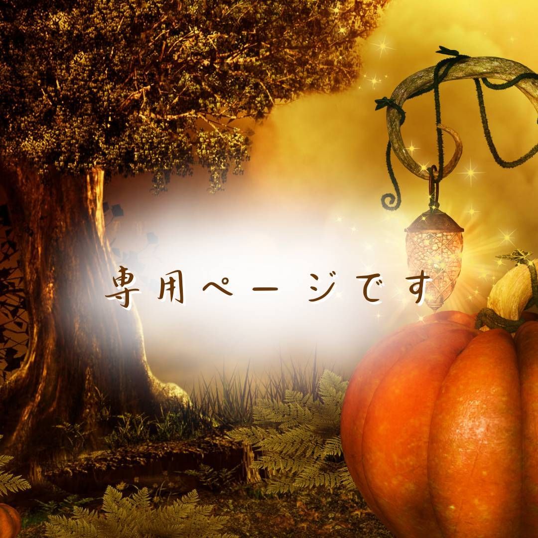 よっちゃんよ様専用ページになります。 よっちゃんよ様専用ページに