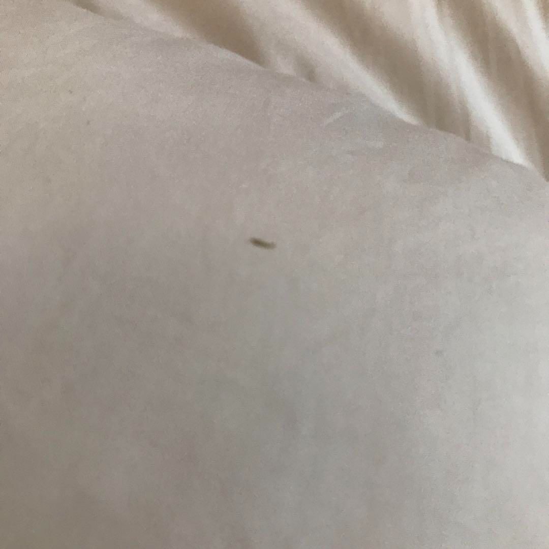 羽毛布団 BUCHENBAUM