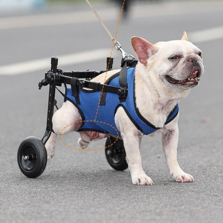 犬用 こけ 2輪補助輪 歩行器 抱っこ紐