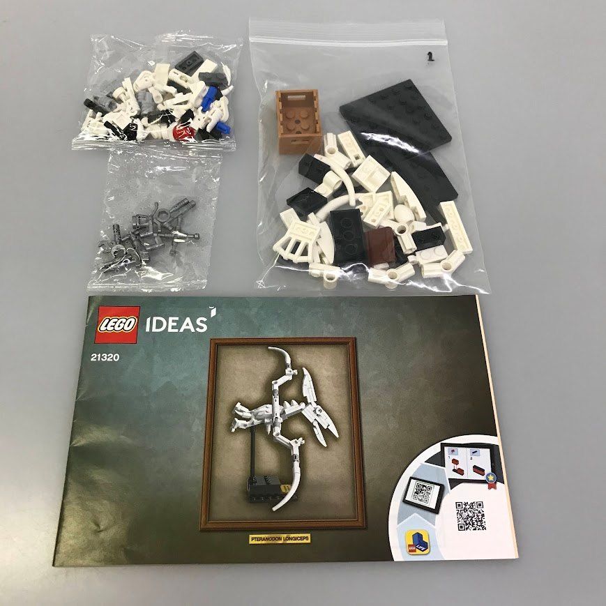 正規品 LEGO レゴ アイデア 21320 恐竜の化石 HD-067-C 未開封内袋あり IDEAS ティラノサウルス トリケラトプス プテラノドン  371 - メルカリ