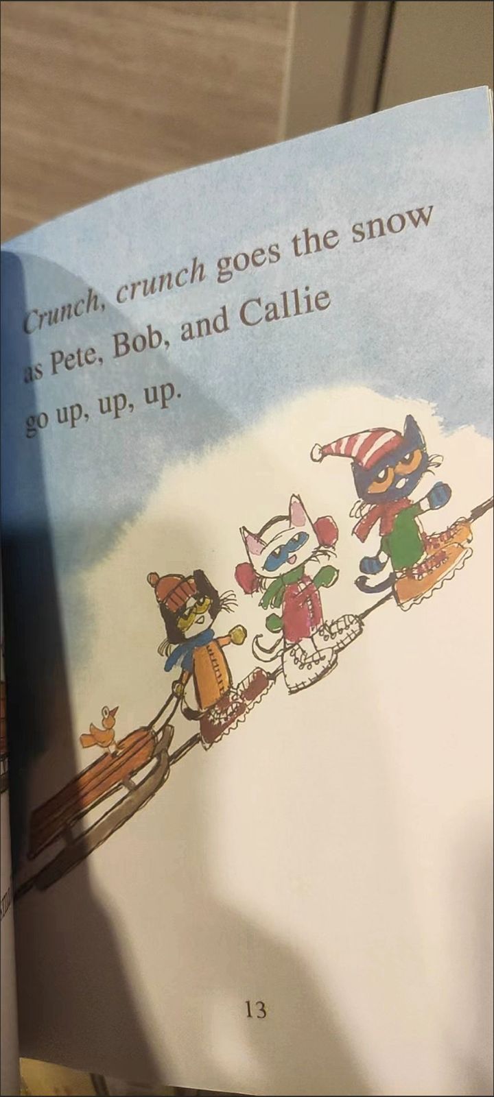 Pete the Cat 絵本　32冊セット 32冊セットPETE THE CAT - メルカリ