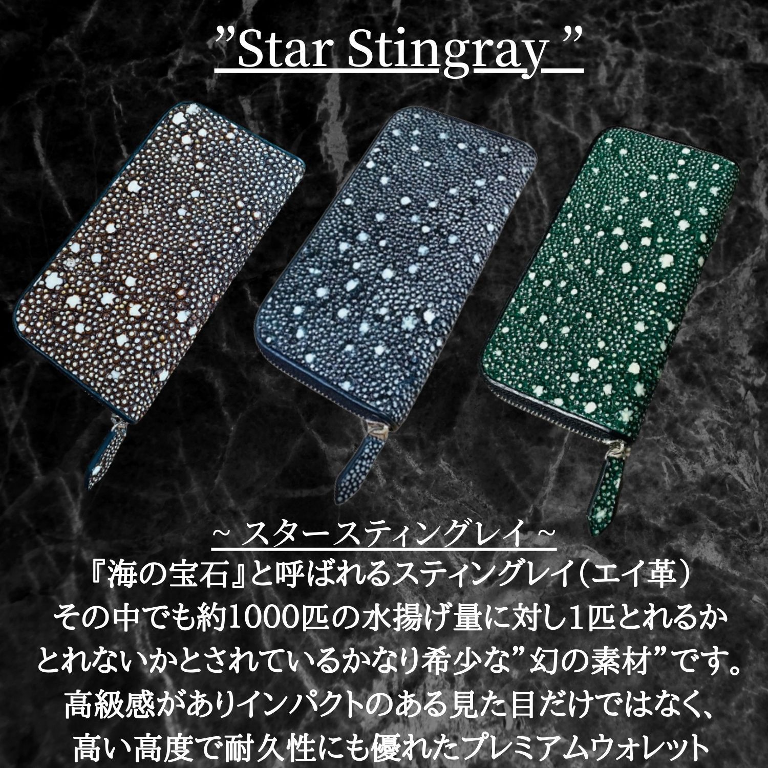 【超希少】スタースティングレイ　ロングウォレット　１枚革　長財布