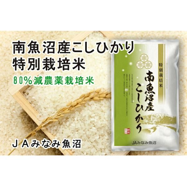 令和6年産 新米 南魚沼産 コシヒカリ10kg 玄米 新潟県 南魚沼 JA
