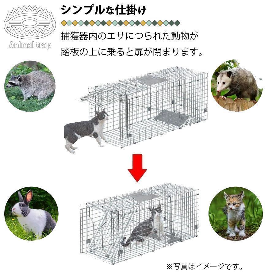 害獣 動物