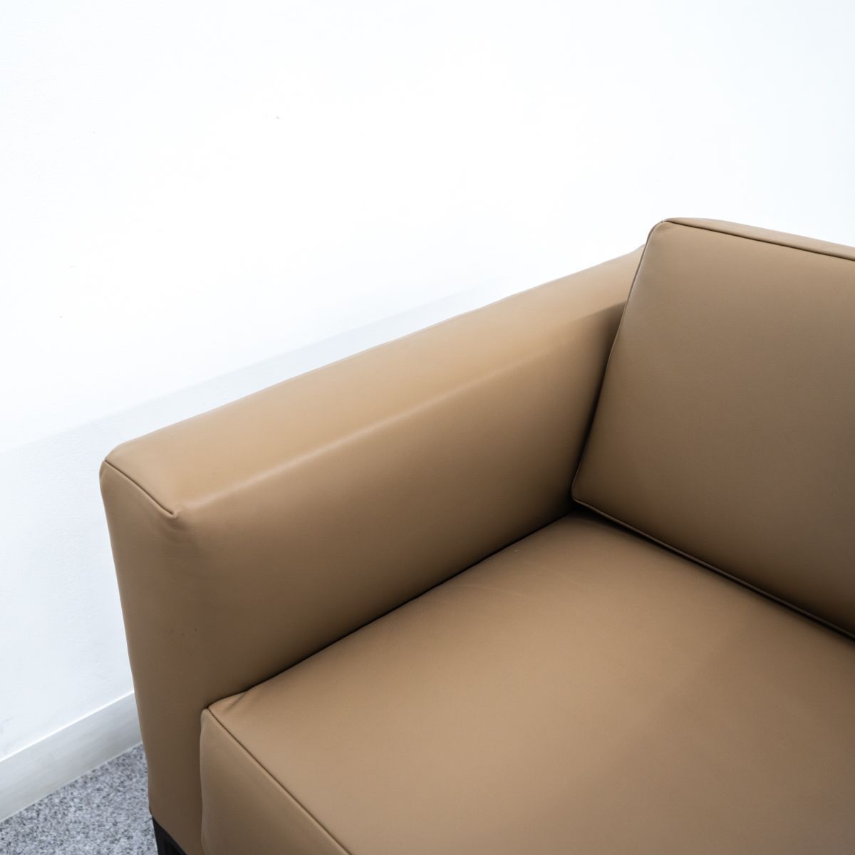 ixc. カッシーナイクスシー