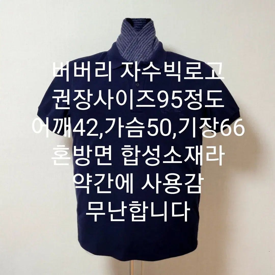 バーバリー 半袖Tシャツ