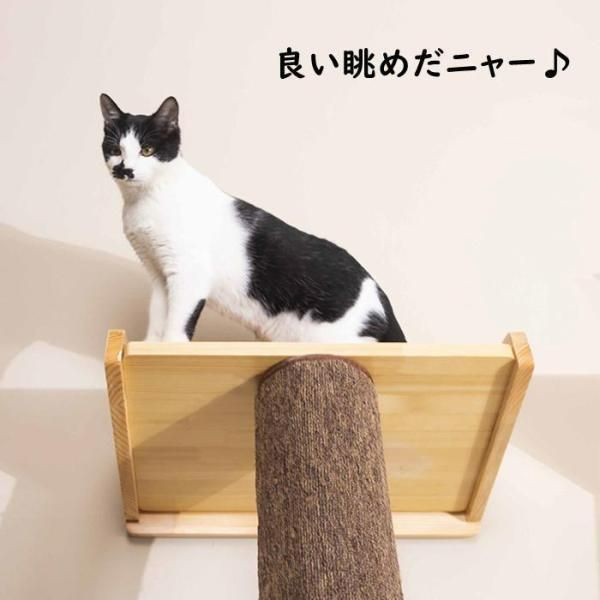 安定