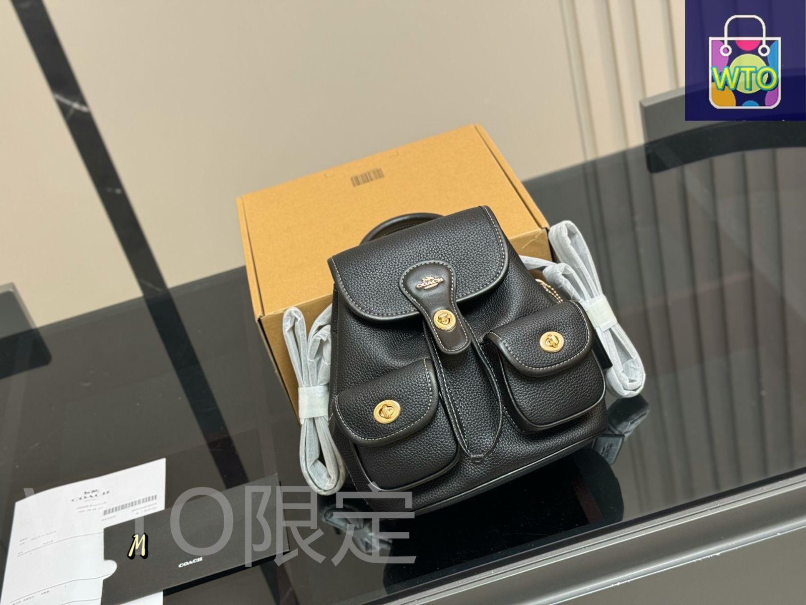 今日特価】Coach コーチ 新作バックパック コーティング帆布