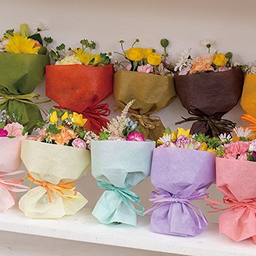 ヘッズ 無地 包装紙 65 cm幅 20 m巻 ミント 掛け紙 不織布ロール HEADS WF RO 10