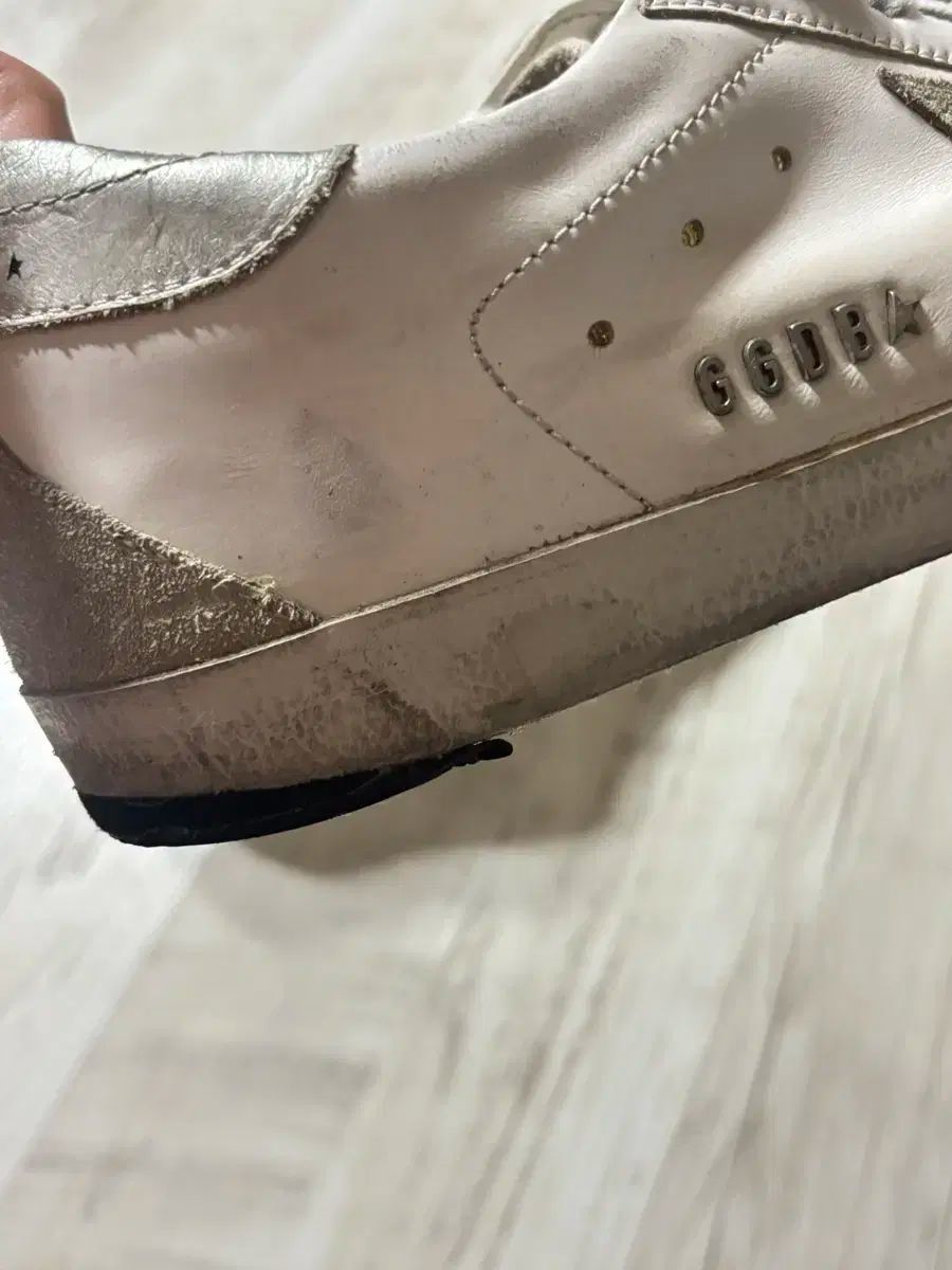 GOOSE ゴールデングース