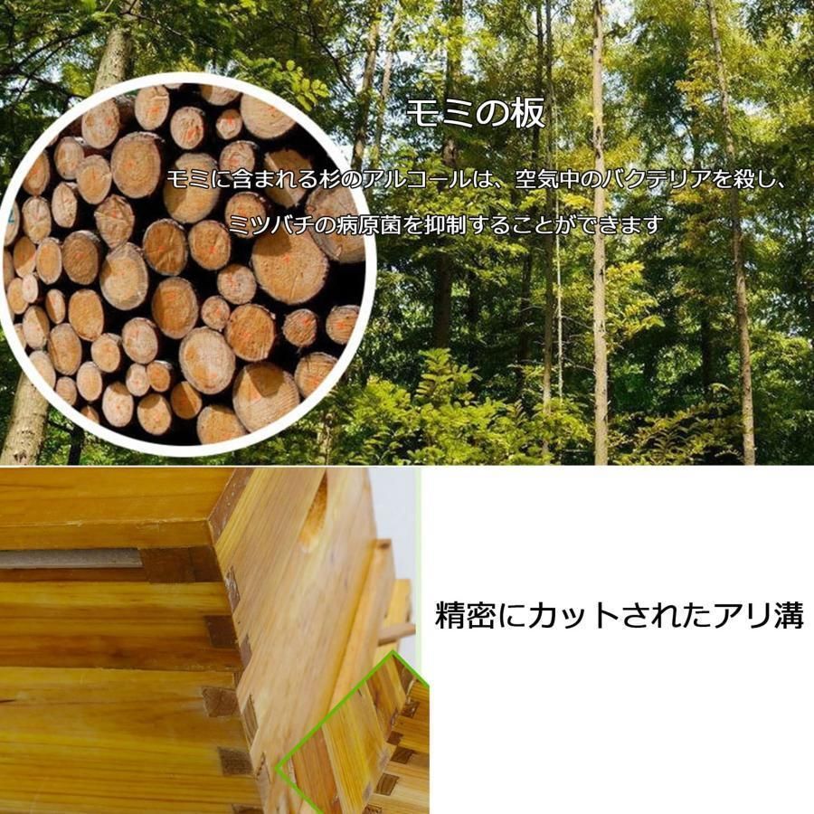 10フレームパーティション巣箱 蜂の巣