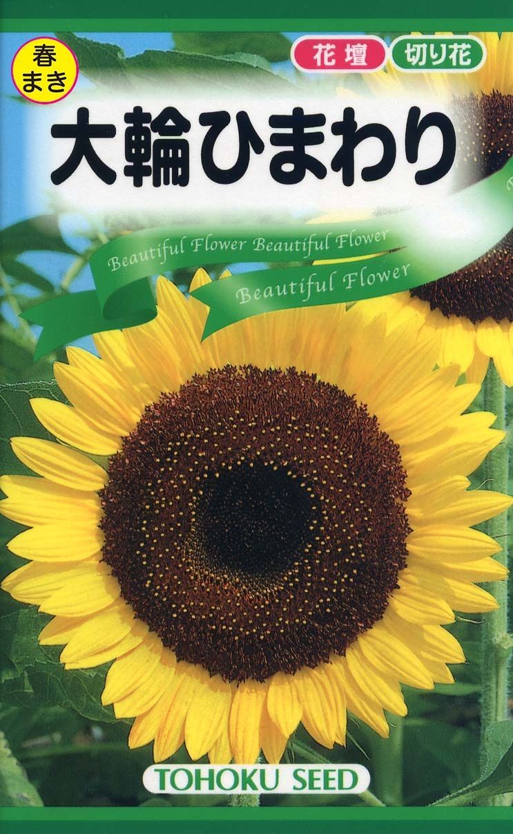 花の種 春まき 2袋セット 大輪ひまわり 大輪あさがお（混合