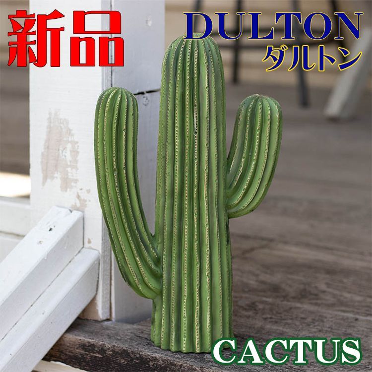 DULTON - ダルトン カクタス ２点セット 大小 サボテン オブジェ おしゃれ インテリア 在庫 処分家具・インテリア - ダルトン カクタス 2点セット