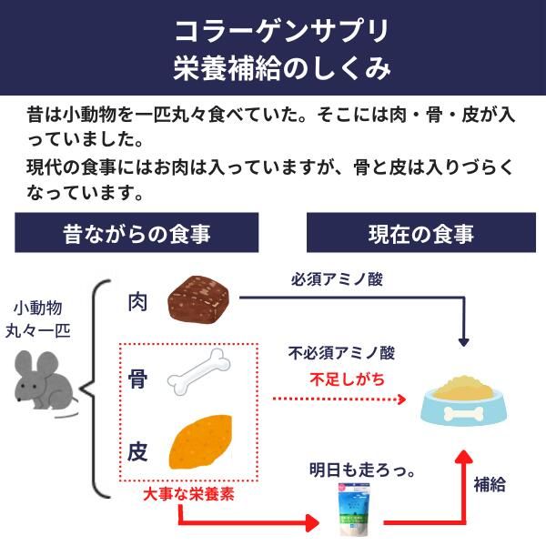 ニッピ あしたも走ろっ。 160g 2個セット 犬用 サプリメント