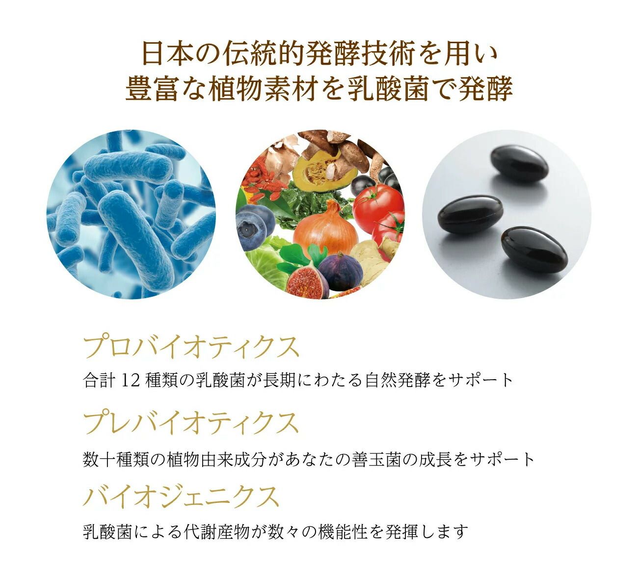 ビフィズス菌
