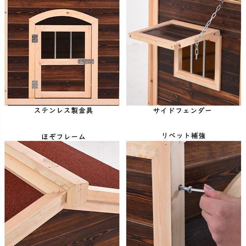 屋外 犬