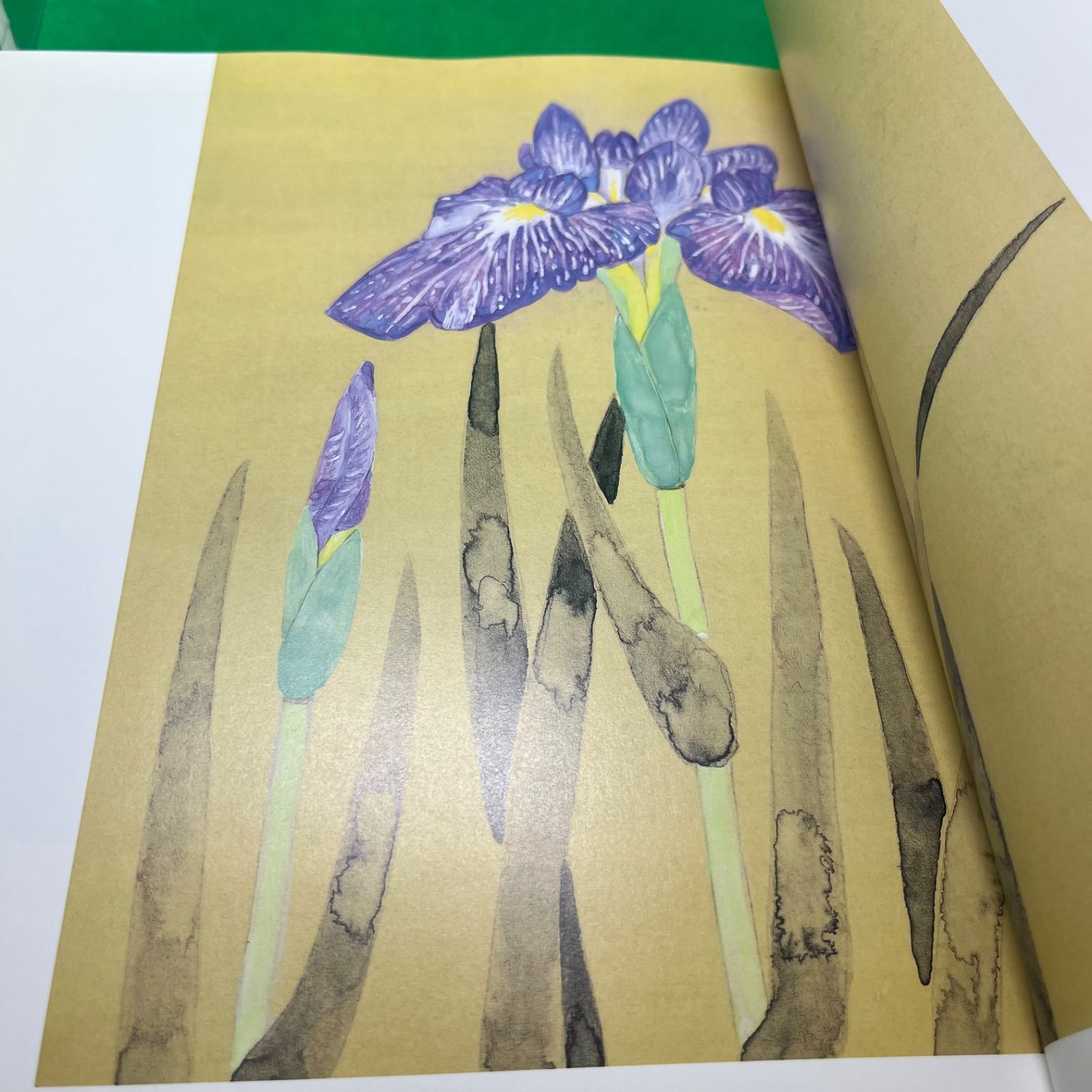 堀文子画文集 命といふもの第2集 無心にして花を尋ね」 堀 文子 堀文子画文集 命といふもの第2集 無心にして花を尋ね」 堀 文子