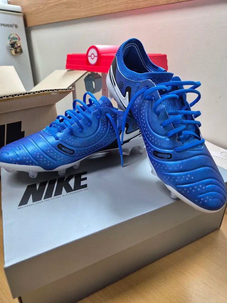 NIKE(ナイキ) ティエンポ レジェンド エリート 10 FG NIKE ナイキ