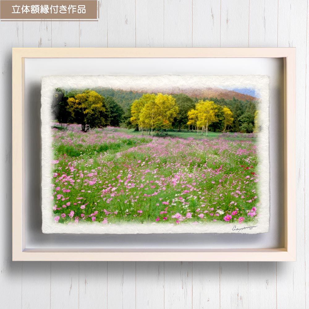 和紙の絵写真 「コスモス畑と黄葉の白樺林」 立体額縁付き 31x23cm