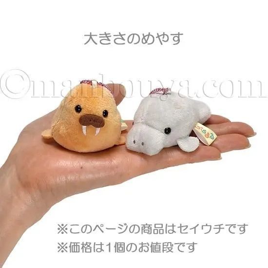 セイウチ ぬいぐるみ アミューズ ぷちまる アニマルズ DX AMUFUN