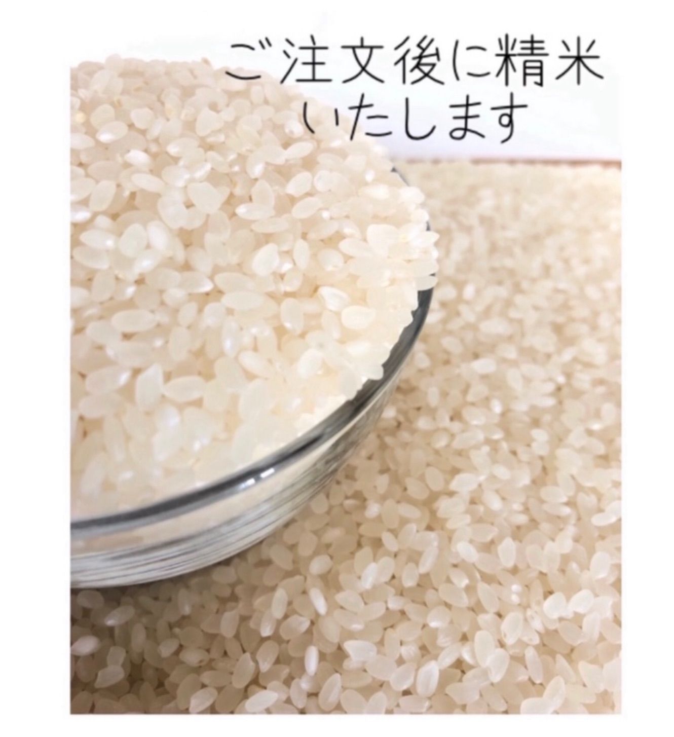 コシヒカリ、ゆうだい21【食べくらべセット】5kg×2(計10kg) 【公式通販】
