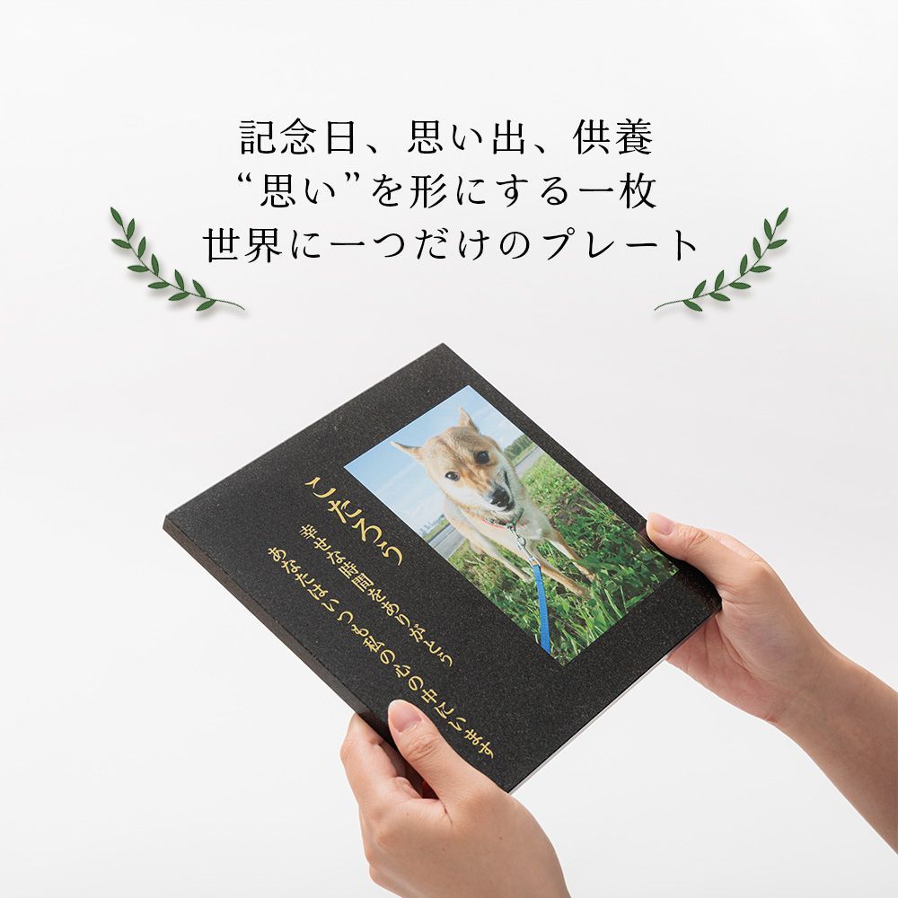 即決 送料無料