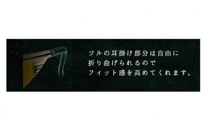 エッシェンバッハ ウェルネス プロテクト 遮光眼鏡 ライトブラウン小 No1663-165 KANDAIZUMI_COM