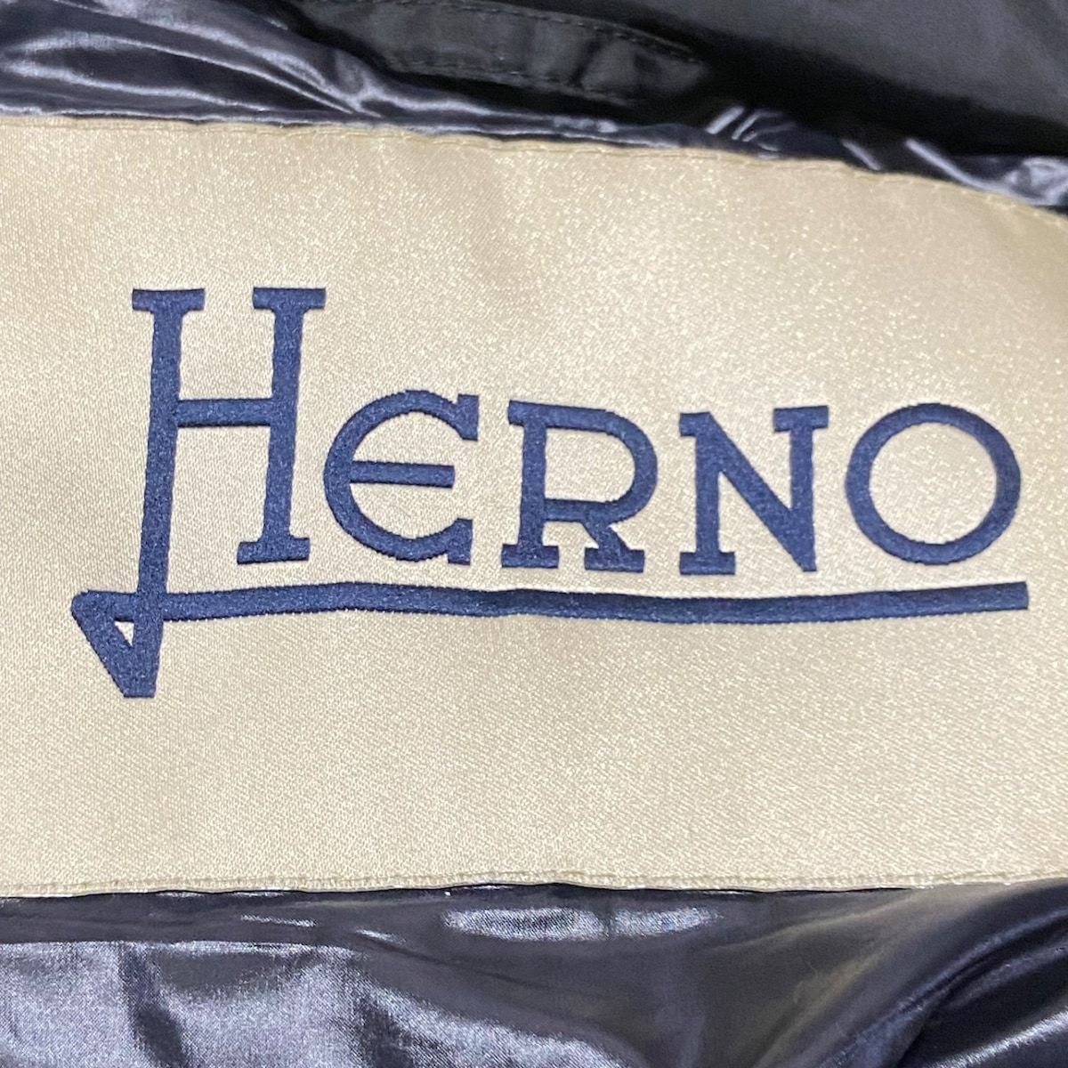 HERNO(ヘルノ) ダウンコート サイズ46 L レディース - 黒 長袖/冬 ...