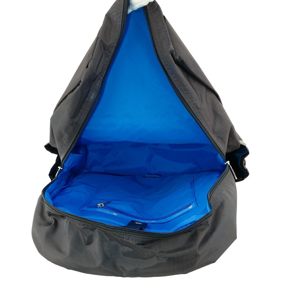 レスポートサック　リュック　サンダー DAILY BACKPACK/サンダー / LeSportsac | ファッション通販